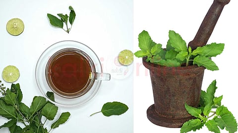 healthy drinks