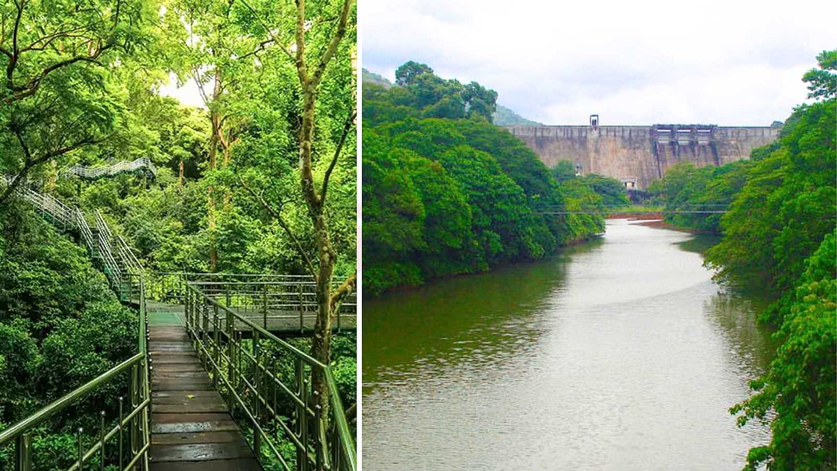 அடர்ந்த காடுகளுக்குள் மறைந்திருக்கும் அழகு: தென்மலையின் சிறப்பு அம்சங்கள்!