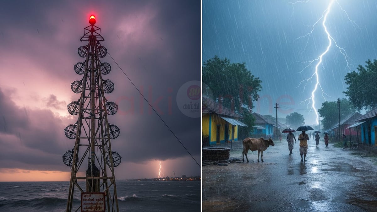 1 முதல் 11 வரை - உண்மையில் இந்தக் கூண்டுகள் எதற்காக?