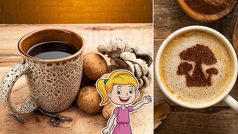  mushroom coffee