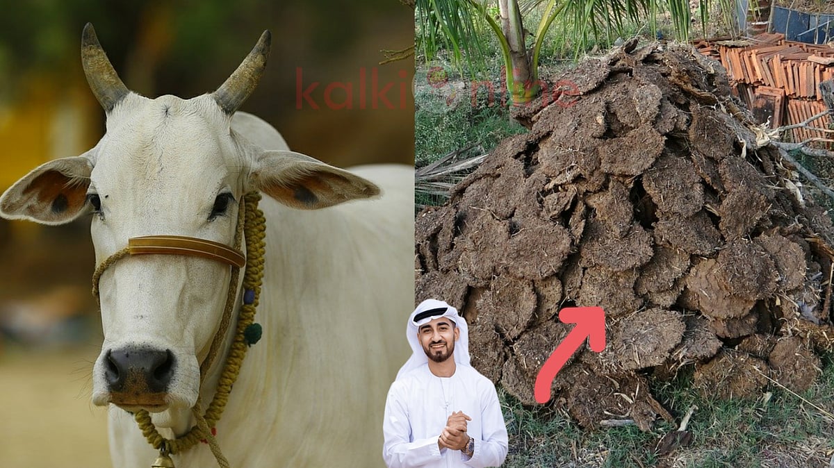 இந்த பொருளை சாதாரணமா நினைக்காதீங்க... சவூதியில் இருந்து சீனா வரை... இதை வாங்க வரிசையில் நிக்கிறாங்க! 