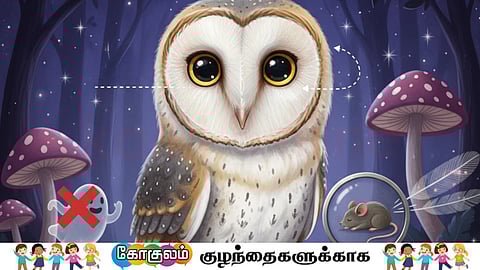 Owl's night vision