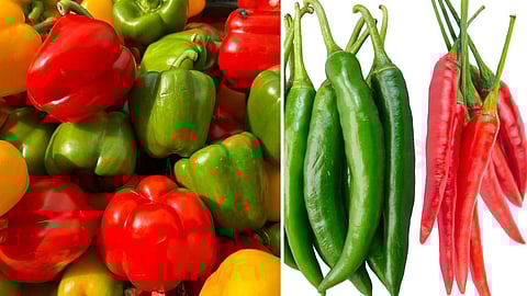 healthy Chili in food