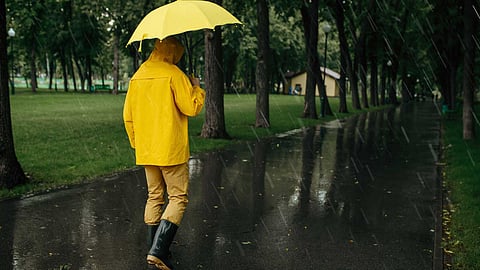 Rainy season safety measures