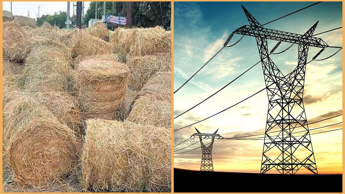 அப்படி போடு... வைக்கோலில் மின்சாரம் தயாரிப்பு: விவசாயிகளின் கூடுதல் வருமானத்திற்கு வழிகாட்டும் தனியார் நிறுவனம்..! 