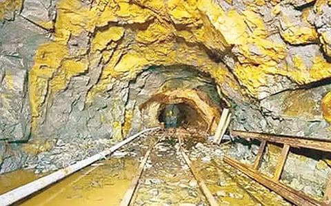 Gold reserve