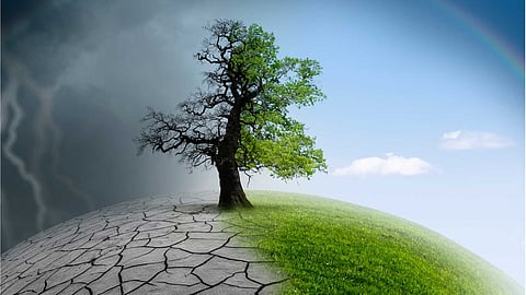 Effects of climate change