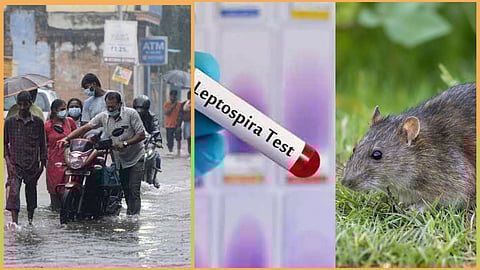 Don'twalk in Rain Water