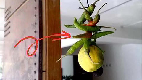 Lemon chilli on entrance