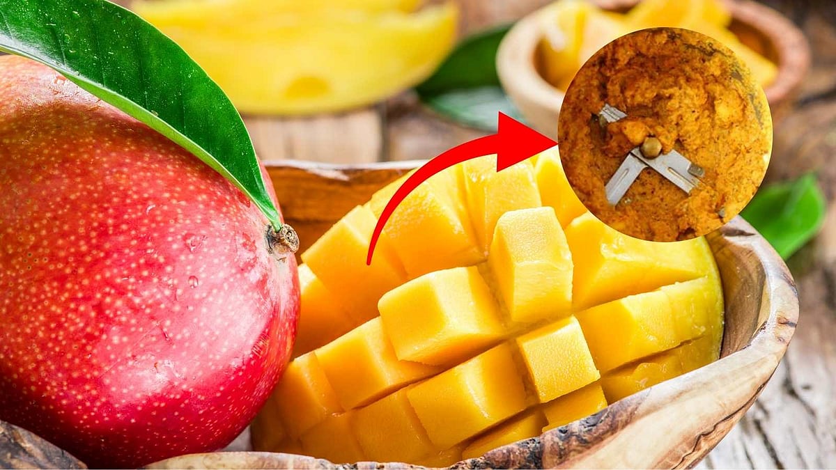 மாம்பழத் தோல் துவையல்: வீணாகும் பொருளில் ஒரு சுவையான ரகசியம்!