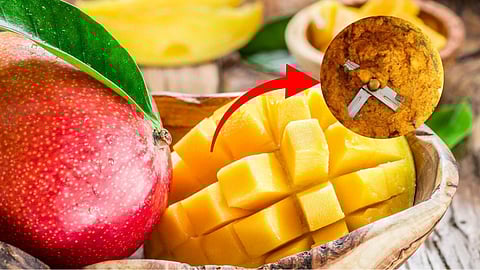 Mango peel thuvaiyal