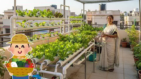 Hydroponics: soil less farming