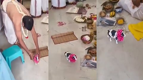 Toy Cow for Housewarming Ceremony