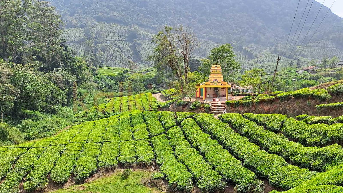 தேனி மாவட்டச் சுற்றுலாத் தலங்கள்: இயற்கையின் சொர்க்கம்!