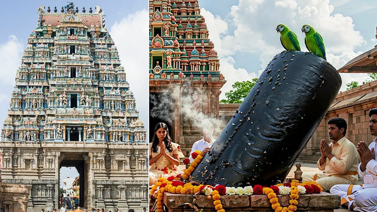 சுகவனேஸ்வரர்: கிளியின் தவமும் சிவபெருமானின் வரமும்!