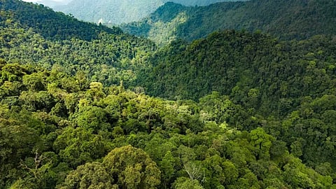 The secret of the disaster affecting agriculture