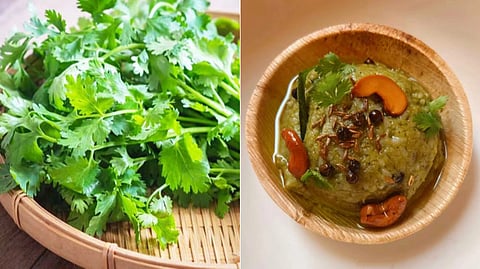 coriander leaves pongal