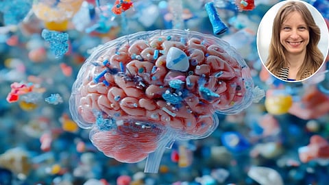 Plasticity in the brain & Elizabeth Ryznar