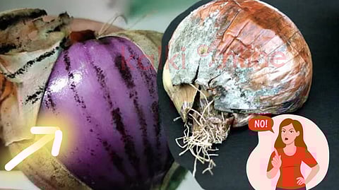 Fungus in onions