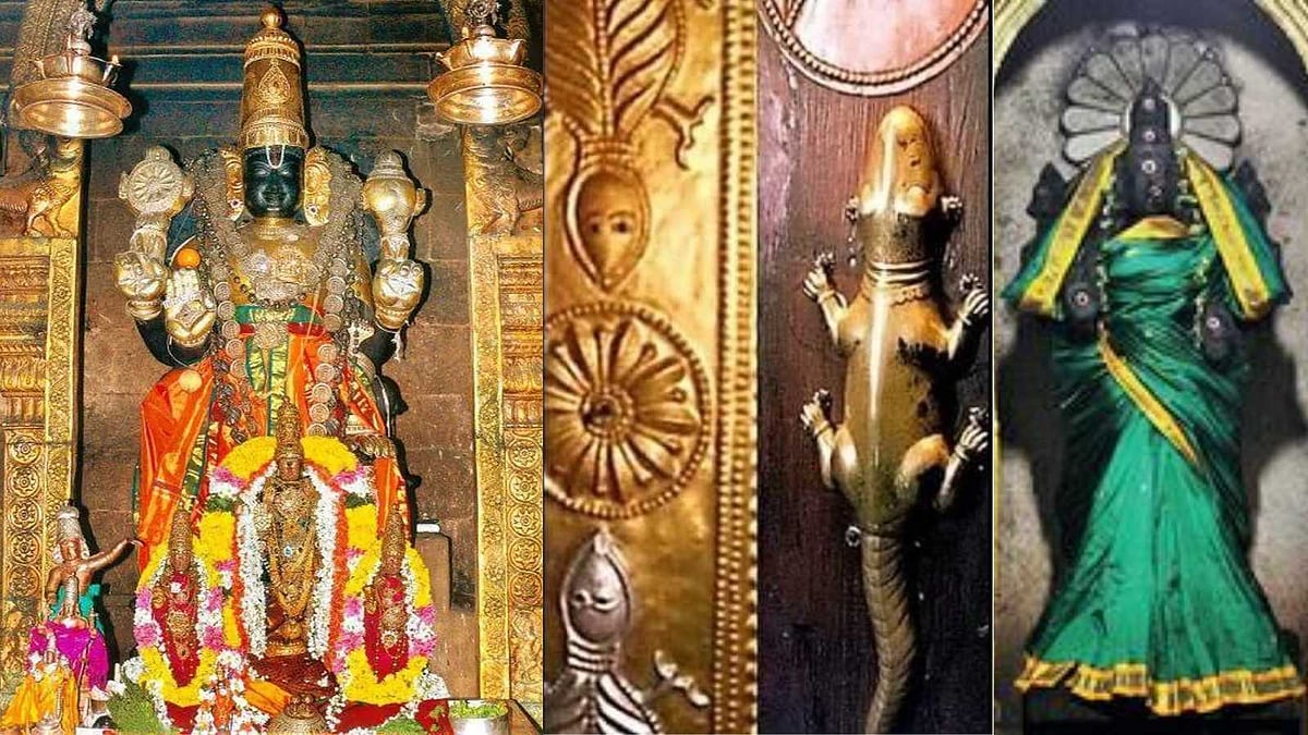 பல்லிகளை தொட்டால் பாவம் நீங்குமா? காஞ்சிபுரம் வரதராஜப் பெருமாள் கோயில் ரகசியம்!