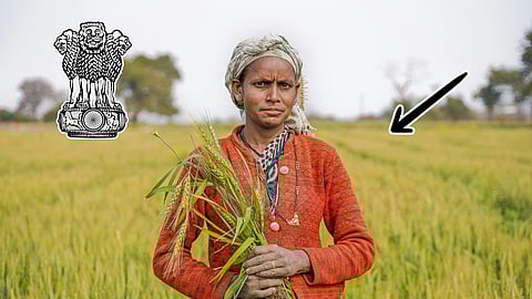 Woman farmer standing with Rice paddy