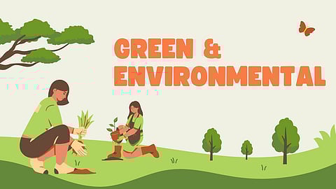 பசுமை / சுற்றுச்சூழல்