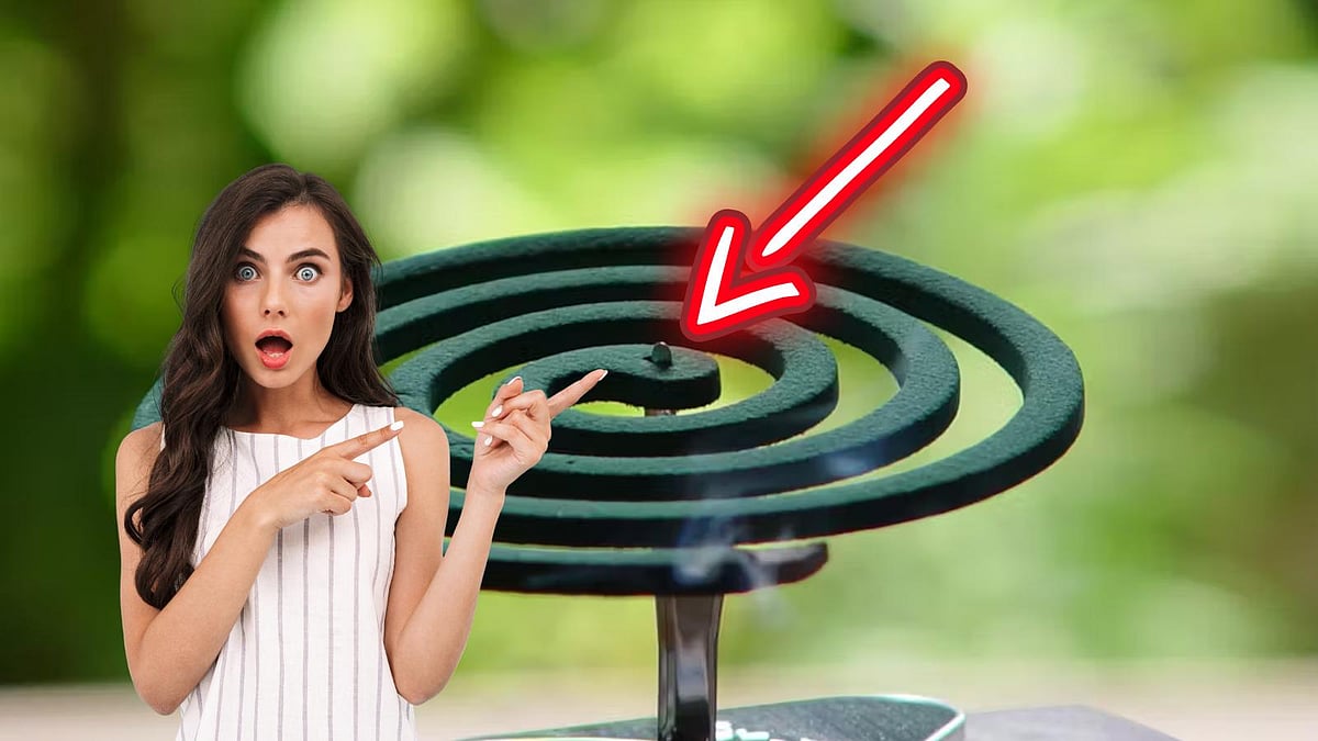 இவை கொசுக்களுக்கு மட்டுமல்ல நமக்கும் எதிரி தான்!