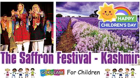 The Saffron Festival – Kashmir