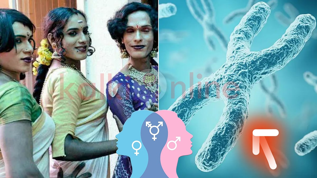 7-வது வாரத்தில் மாறும் பாலினம்! ஆணாகப் பிறந்து பெண்ணாக வளரும் அறிவியல் ரகசியம்! 