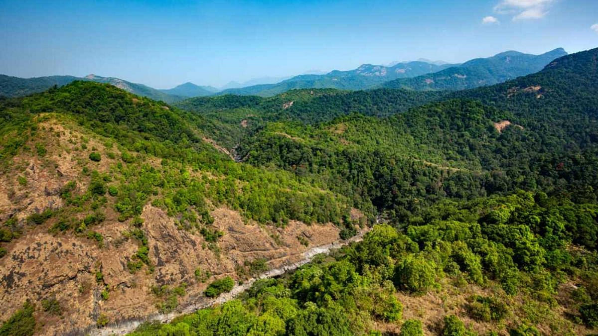 அதிசய சரணாலயம்: சுயத்தை இழக்காத மர்மம் நிறைந்த அமைதிப் பள்ளத்தாக்கு!