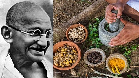 National Naturopathy Day