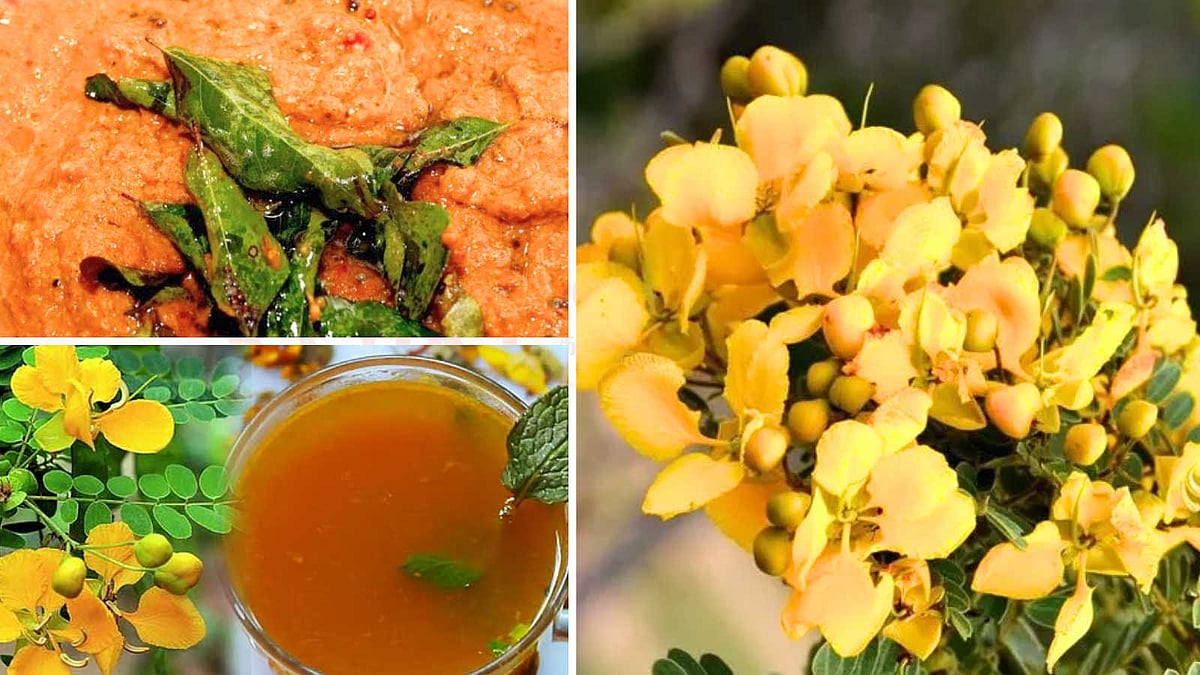 சமைக்கலாம்... சுவைக்கலாம்: ஆவாரம் பூவின் அசத்தல் சமையல்!