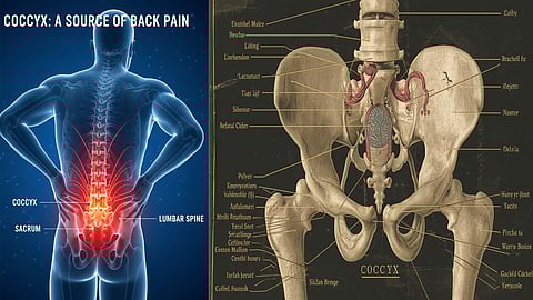 Suffering with coccyx pain