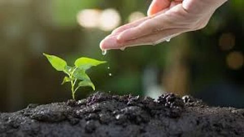 Ways to fix 4 types of soil problems