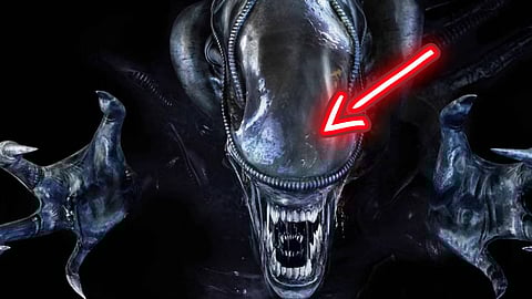 Xenomorph Alien