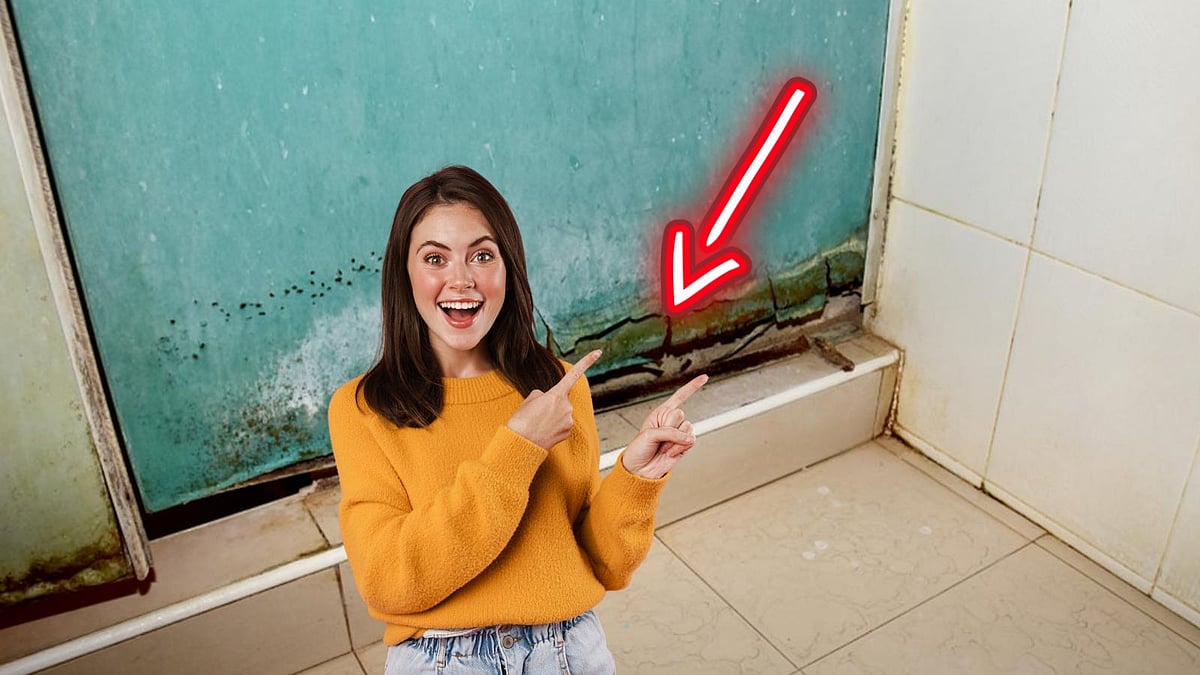 மரக்கதவு வீணாகுதுன்னு கவலையா? இந்த ஆயிலைத் தடவினா 10 வருஷத்துக்கு கோரண்டீ!