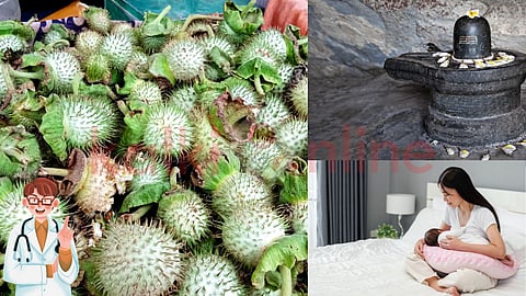 Datura medicine and spirituality uses