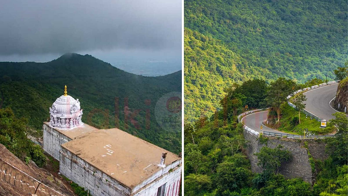 தமிழக எல்லையில் ஒரு சொர்க்கம்: தாளவாடியின் தனித்துவமான அம்சங்கள்!