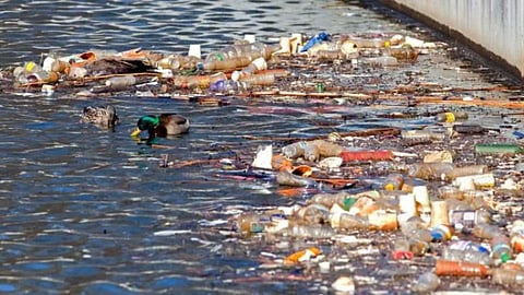 Dangers caused by drinking water pollution