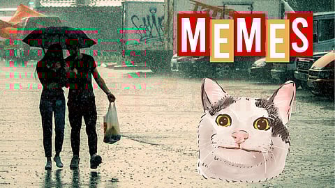Rain memes