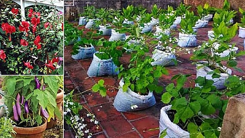 Super ways to improve your rooftop garden