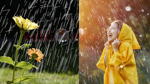 A flower and a girl in rain