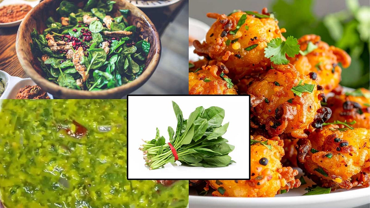 போண்டா முதல் மசியல் வரை: சுவையான பசலைக்கீரை சமையல்!