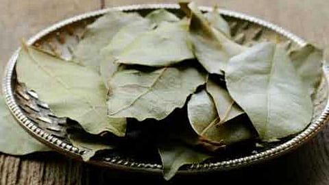 A leaf that brings peace to the family