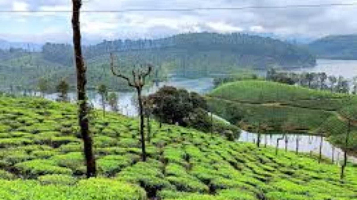 வால்பாறை – அமைதி தேடுபவர்களுக்கான சொர்க்க பூமி!