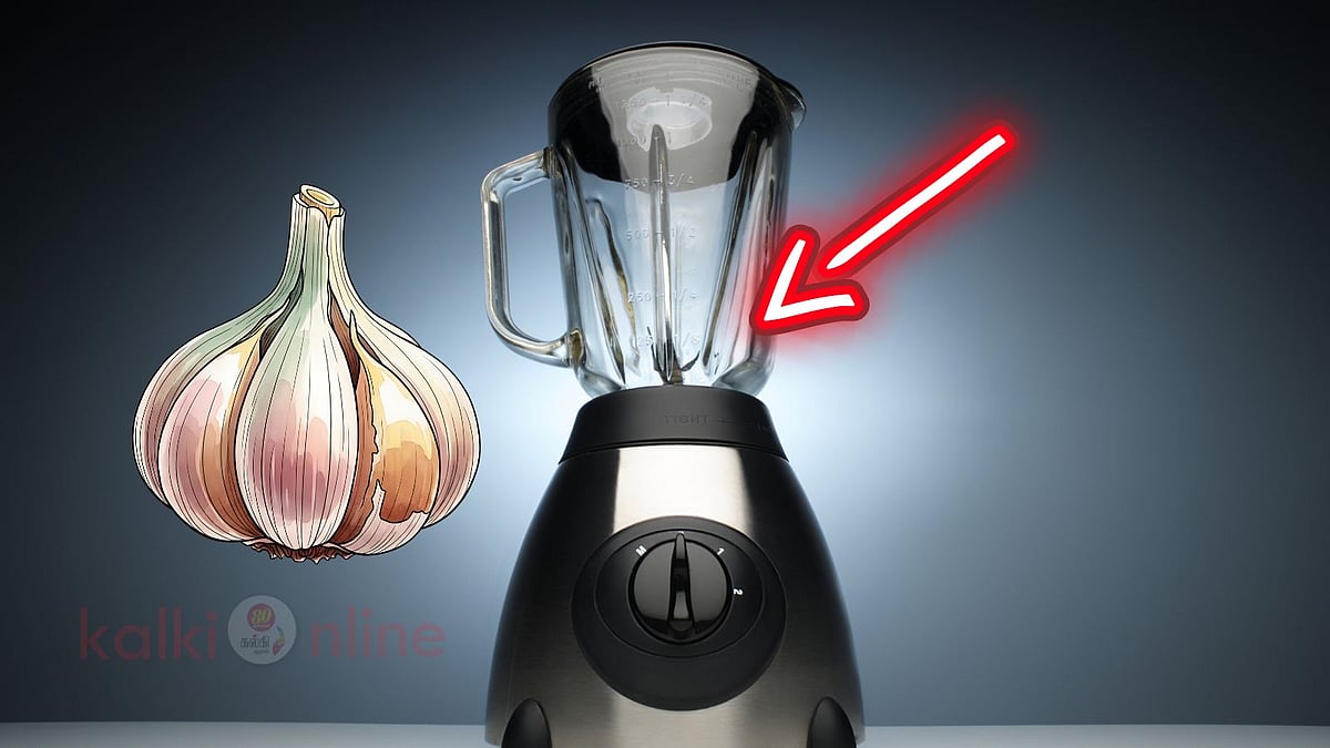 மிக்ஸியில் பூண்டு வாடை குடலைப் புரட்டுகிறதா? 2 நிமிஷத்துல விரட்ட இதோ சூப்பர் டிப்ஸ்!