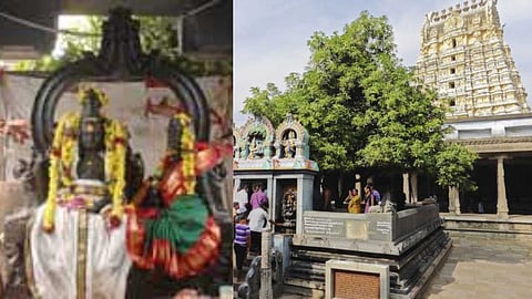 Kanchipuram Ekambareshwarar Temple