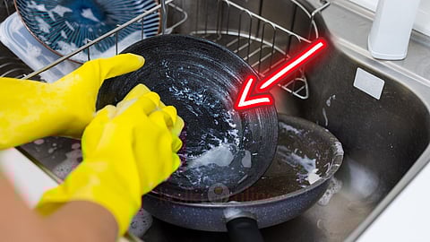 Vessel Washing - Dishwashing