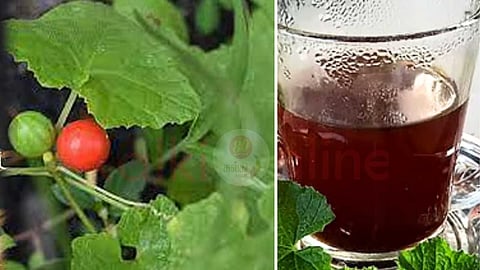 The secret of health