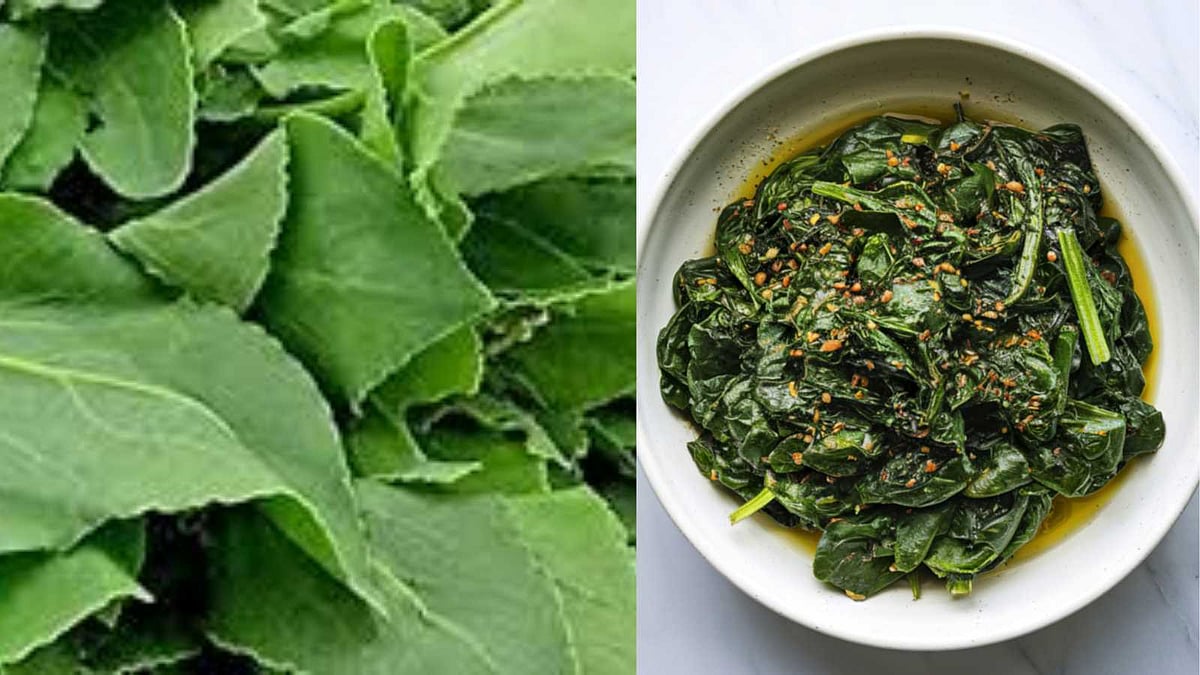 செரிமானத்தை மேம்படுத்தும் சுக்கான் கீரை கூட்டுவின் அற்புதங்கள்!